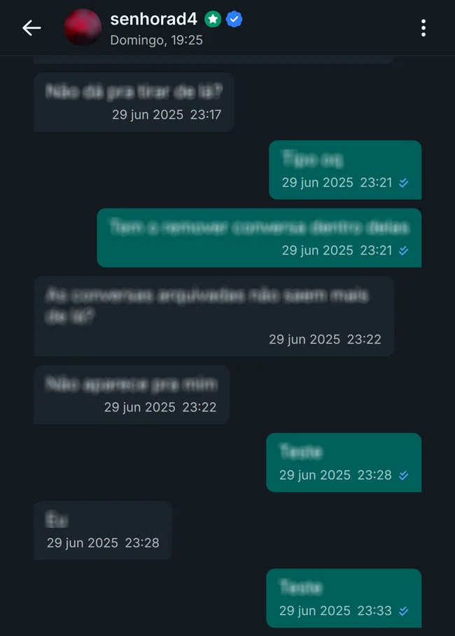 Chat Privado